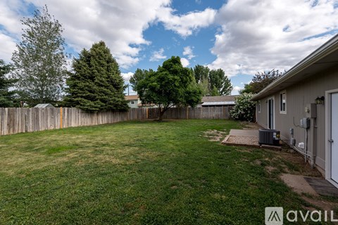 A backyard with a fence and trees.