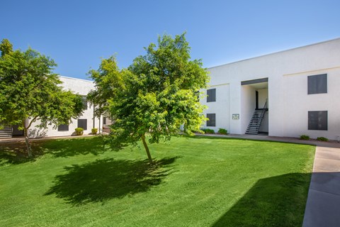 A white building with a tree in front of it.