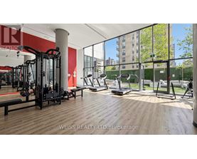 A gym with a variety of equipment including treadmills, weights, and a bench.