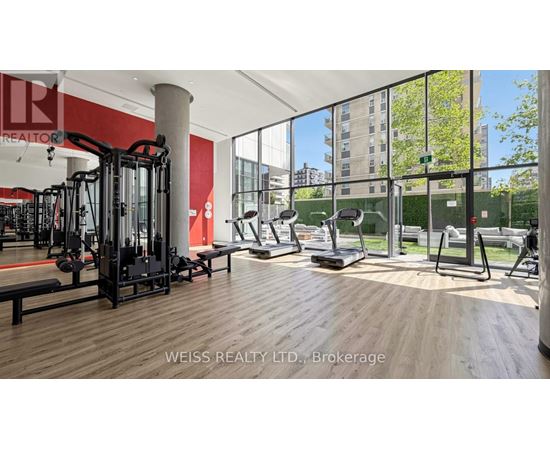 A gym with a variety of equipment including treadmills, weights, and a bench.