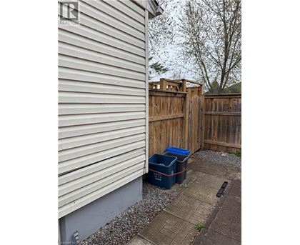 A small backyard with a wooden fence and two blue bins.