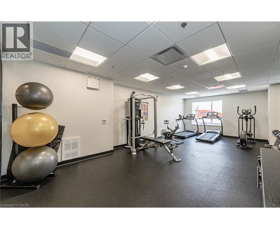 A gym with a variety of equipment including a treadmill, weights, and a balance ball.