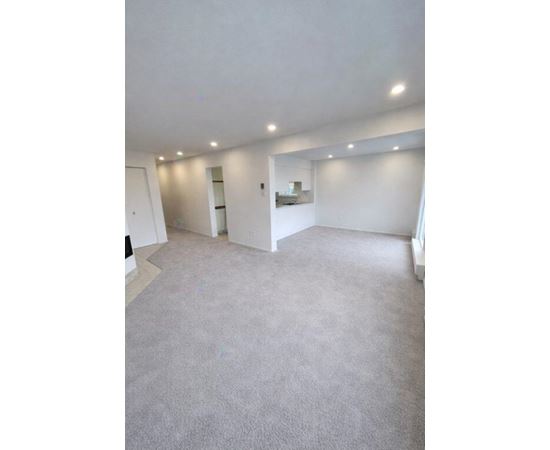 A spacious room with grey carpeting and white walls.