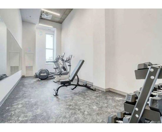 A gym with a row of treadmills and a weight rack.