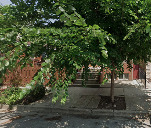 A tree with green leaves is in the foreground of a city street.