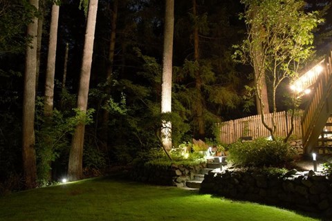 A backyard at night with lights on and trees.