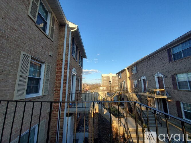 905 South Rolfe Street 2 Beds Condo for Rent - Photo gallery 3