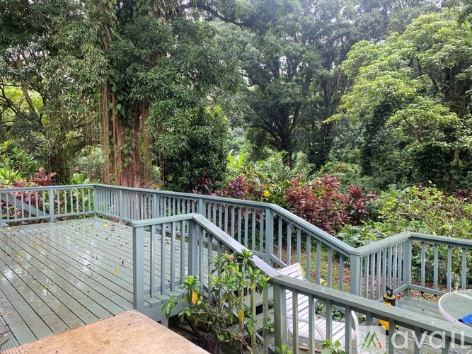 47 701 Ahuimanu Rd 1 Apartment for Rent - Photo gallery 2