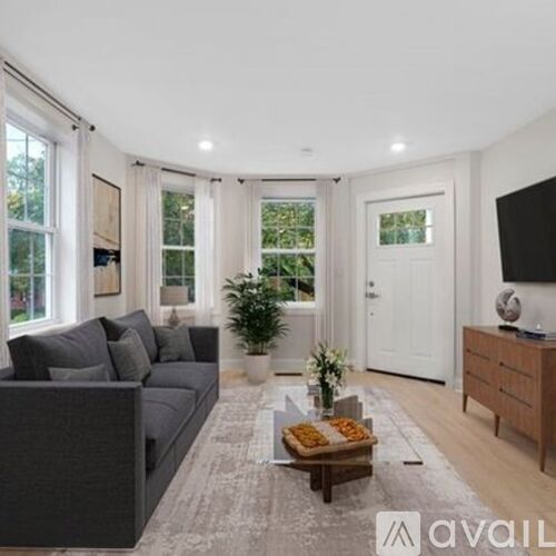 157 Boston Street 1 Apartment for Rent - Photo gallery 4