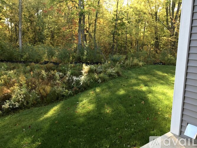A backyard with a lawn and trees.