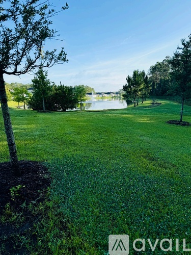 A grassy field with a tree and a body of water in the distance.
