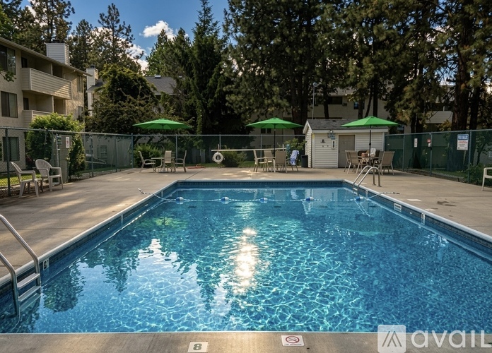 8821 N Hill N Dale 1 Apartment for Rent - Photo gallery 3