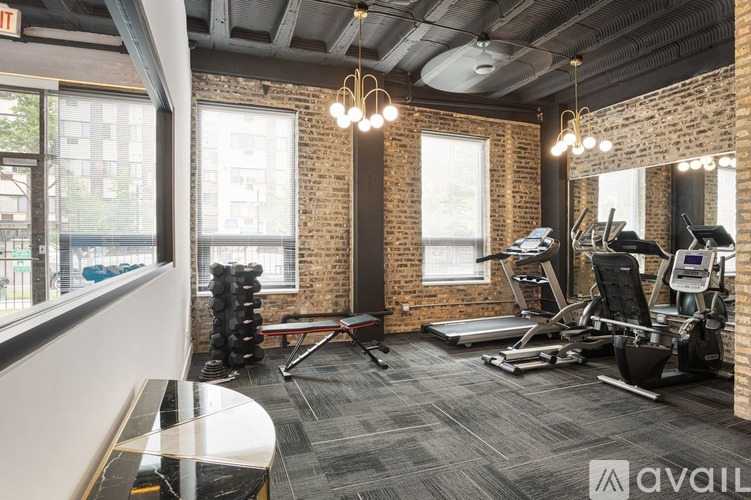 A gym with a variety of equipment including treadmills, weights, and a bench press.