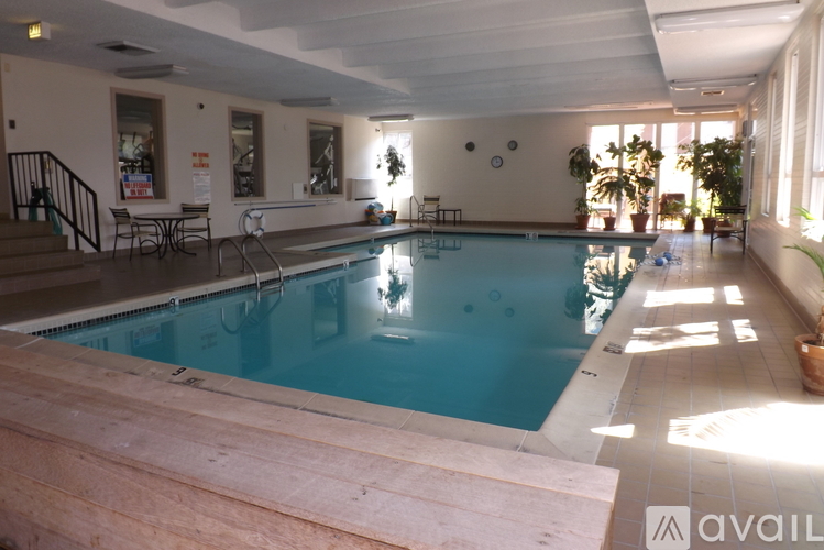 A large indoor swimming pool with a wooden ledge around it.