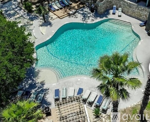 A pool surrounded by palm trees and deck chairs.