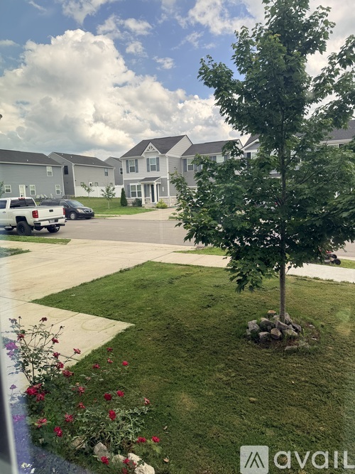 A tree stands in a grassy area in front of a house.