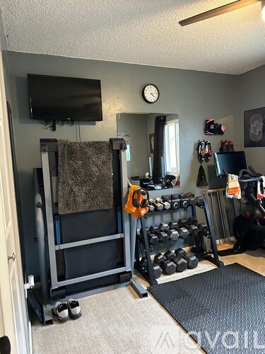 A home gym with a television, weights, and a clock.