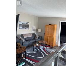 A living room with a grey couch, a wooden cabinet, and a rug.