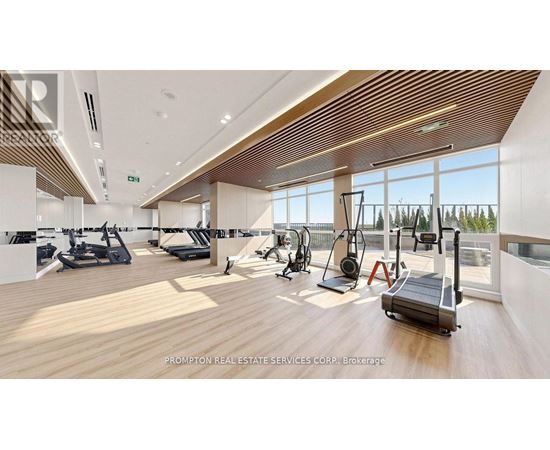 A gym with treadmills, elliptical machines, and other exercise equipment.
