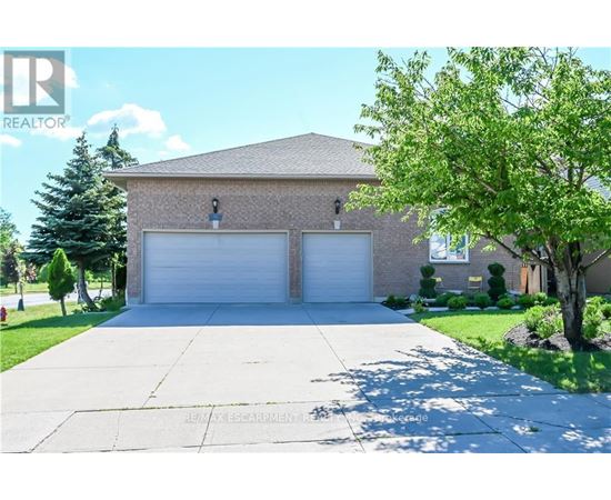 A house with a garage and a tree in front.
