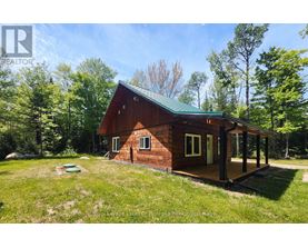 A small wooden cabin with a green roof is surrounded by trees.