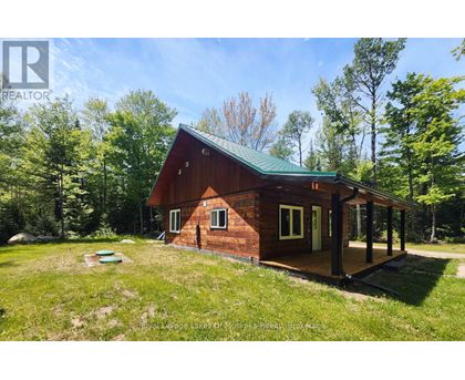 A small wooden cabin with a green roof is surrounded by trees.