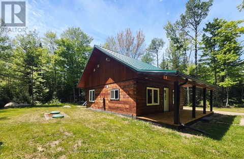 A small wooden cabin with a green roof is surrounded by trees.