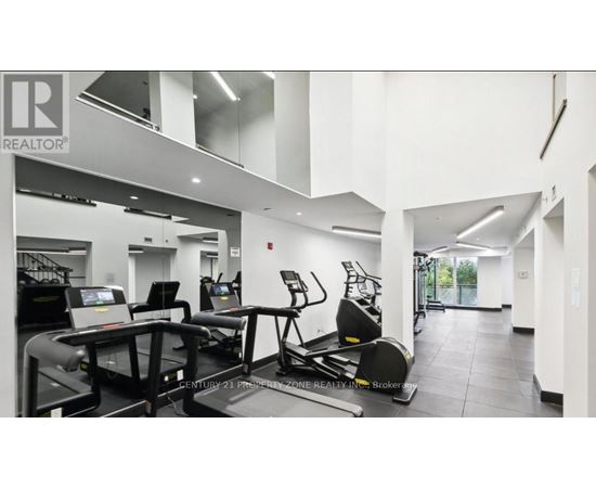 A gym with treadmills and elliptical machines.
