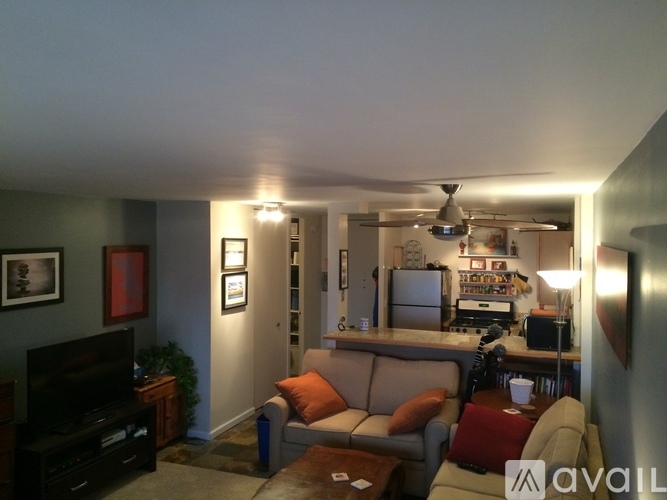A living room with a couch, a television, and a kitchen area in the background.