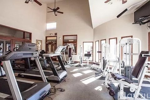 A gym with treadmills, weights, and a television.