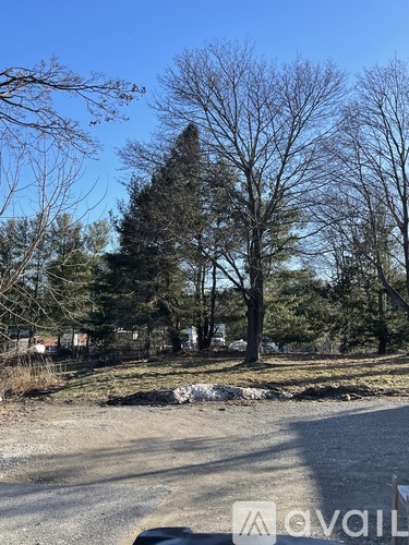 A large tree stands in the middle of a grassy area with a clear blue sky above.