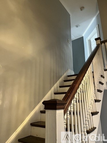 16 Abbott Place 7 Beds Apartment for Rent