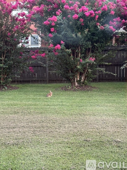 A bird is standing in a grassy area with a tree and fence in the background.