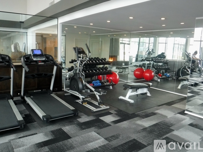 A gym with treadmills, weights, and exercise balls.