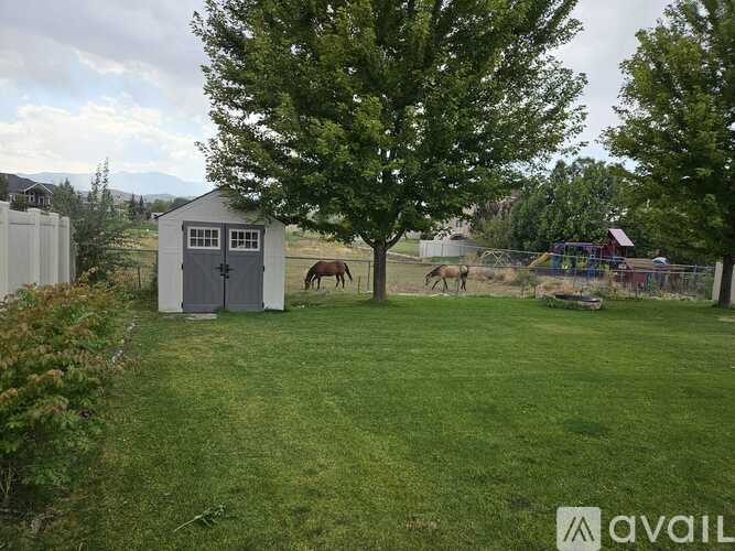 A horse is standing in a grassy field next to a shed.