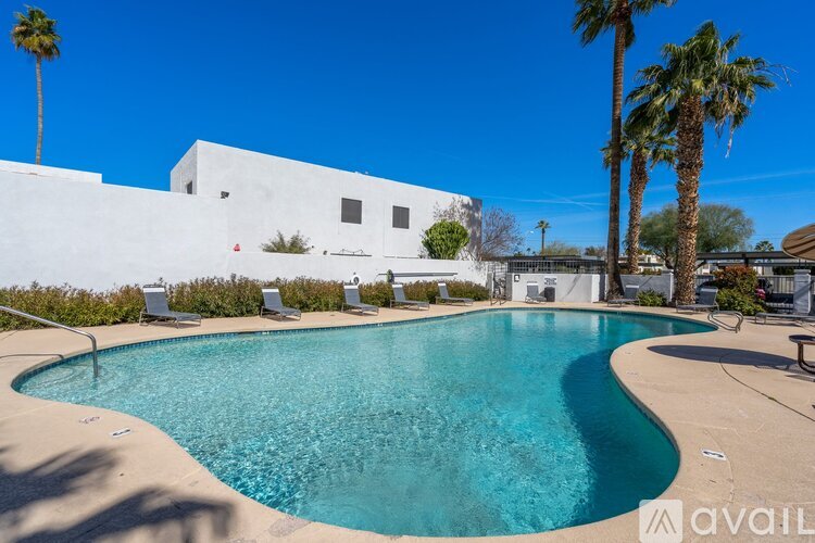 A pool with a white wall and palm trees in the background.