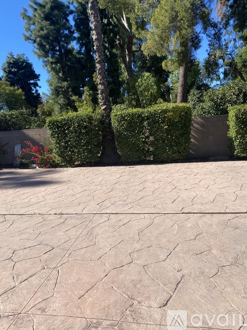 A driveway with a cracked surface leads to a house.