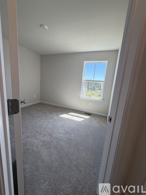 A room with a carpeted floor and a window showing a view of a tree and a building outside.