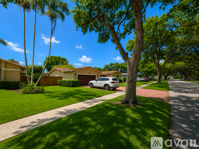 A white car is parked on a street lined with palm trees.