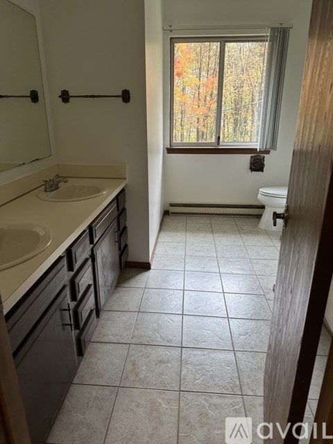 A bathroom with a white sink and a window with trees outside.