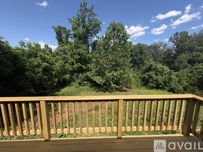 2632 Hydraulic Road 3 Beds Single Family Home for Rent - Photo gallery 3