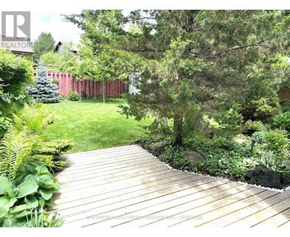 A wooden walkway leads through a lush green garden.