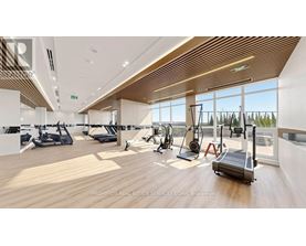 A gym with treadmills, elliptical machines, and other exercise equipment.