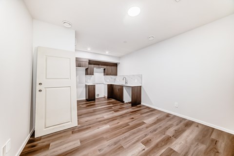 BSMT 1 Apartment for Rent