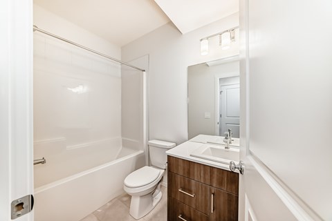 BSMT 1 Apartment for Rent