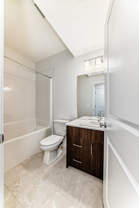 BSMT 1 Apartment for Rent