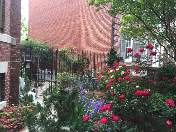 1734 Lamont St. NW 1 Apartment for Rent - Photo gallery 2