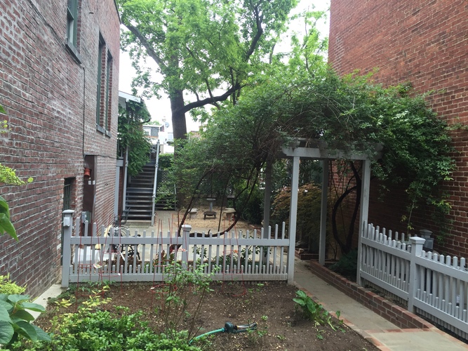 1734 Lamont St. NW 1 Apartment for Rent - Photo gallery 4