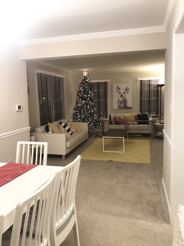 A Christmas tree is in a living room with a white couch and a painting of a dog on the wall.