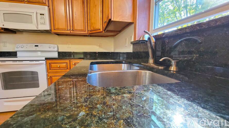 4441 Sandy Lane Road 3 Beds Single Family Home for Rent - Photo gallery 3